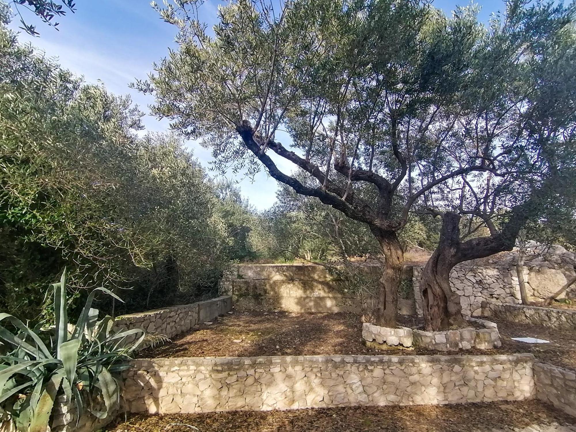 Vila Dolani كليك المظهر الخارجي الصورة