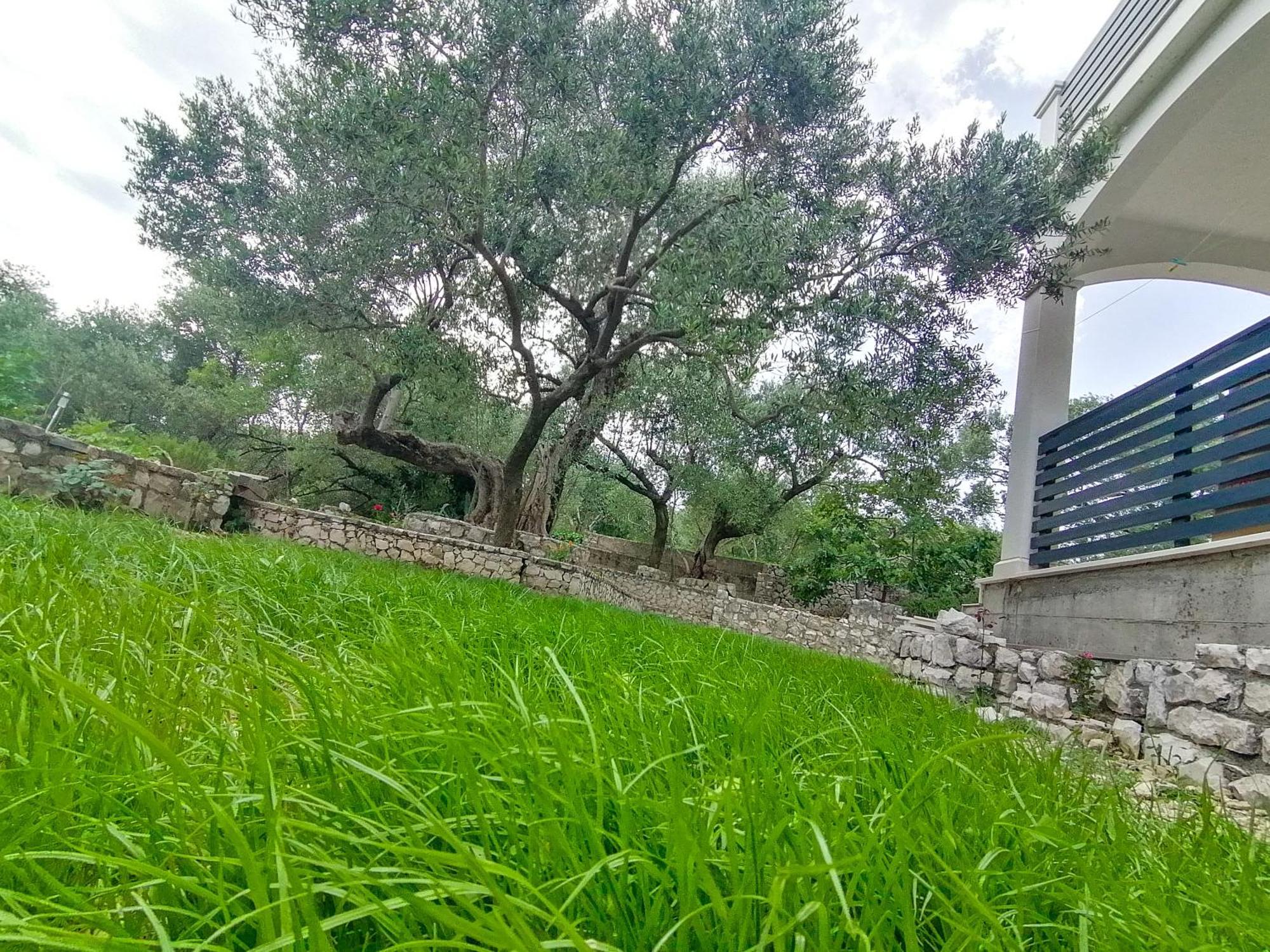 Vila Dolani كليك المظهر الخارجي الصورة