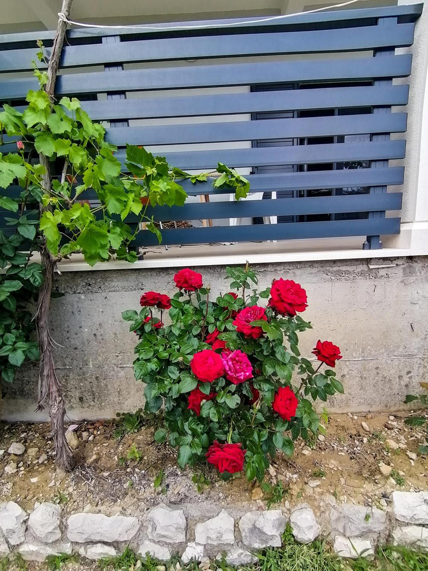 Vila Dolani كليك المظهر الخارجي الصورة